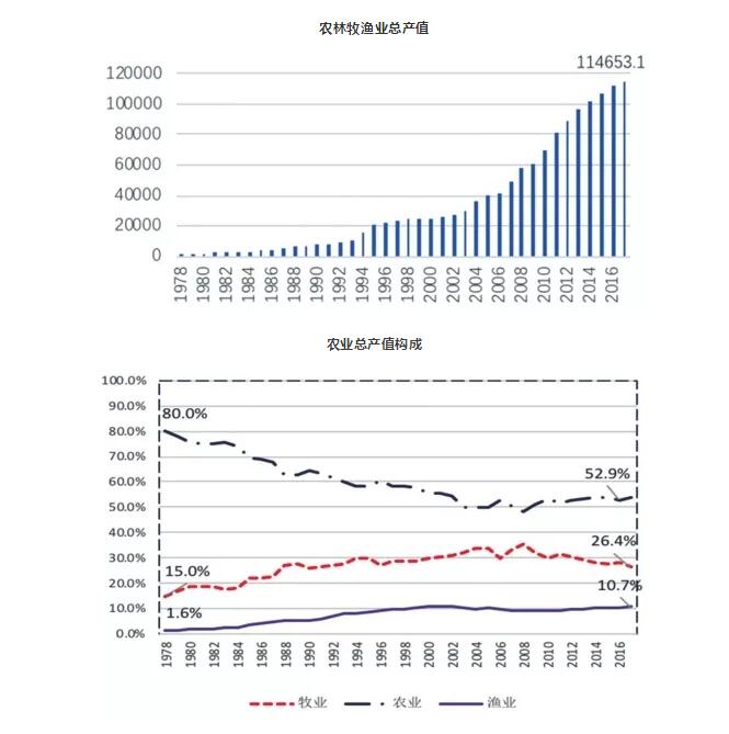 专家视点